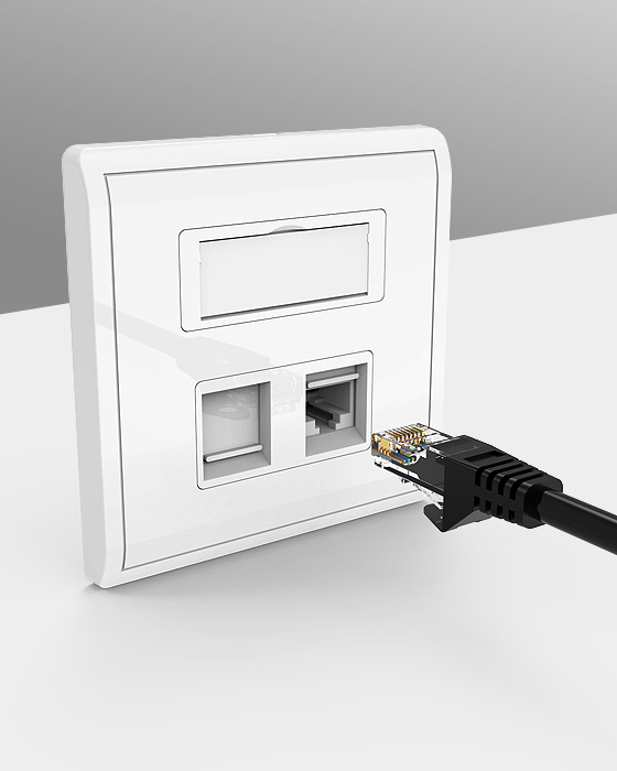 Network RJ45 Faceplate